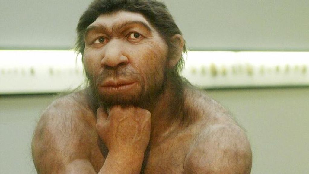 Neandertalların soyu niyə tükəndi?