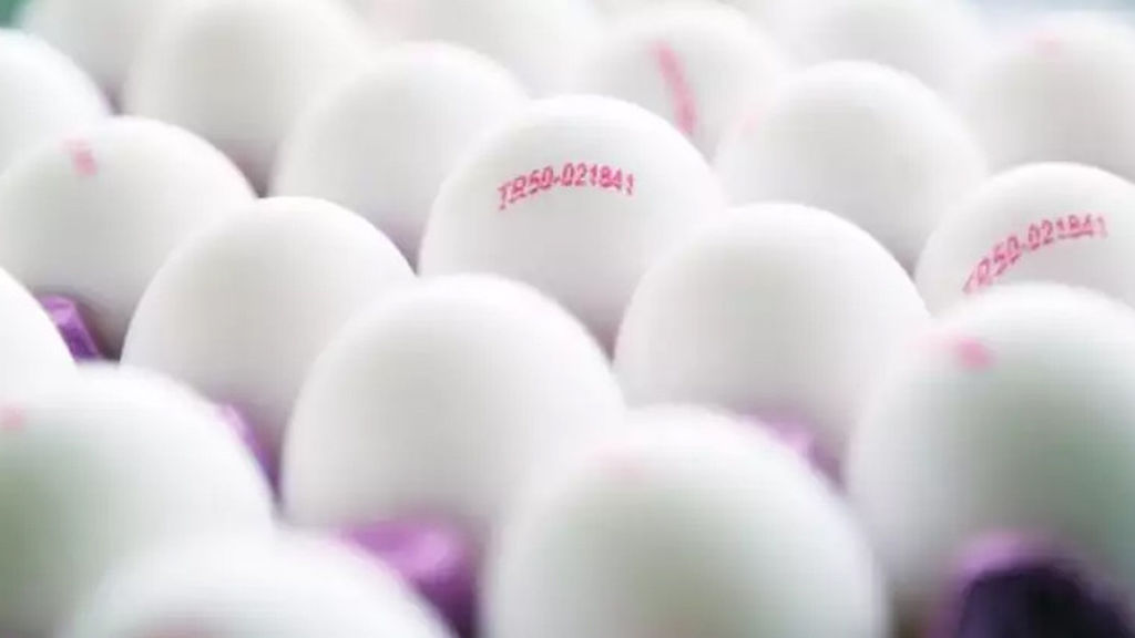 Yumurtaların üzərindəki kodların nə mənaya gəldiyini bilirsinizmi?