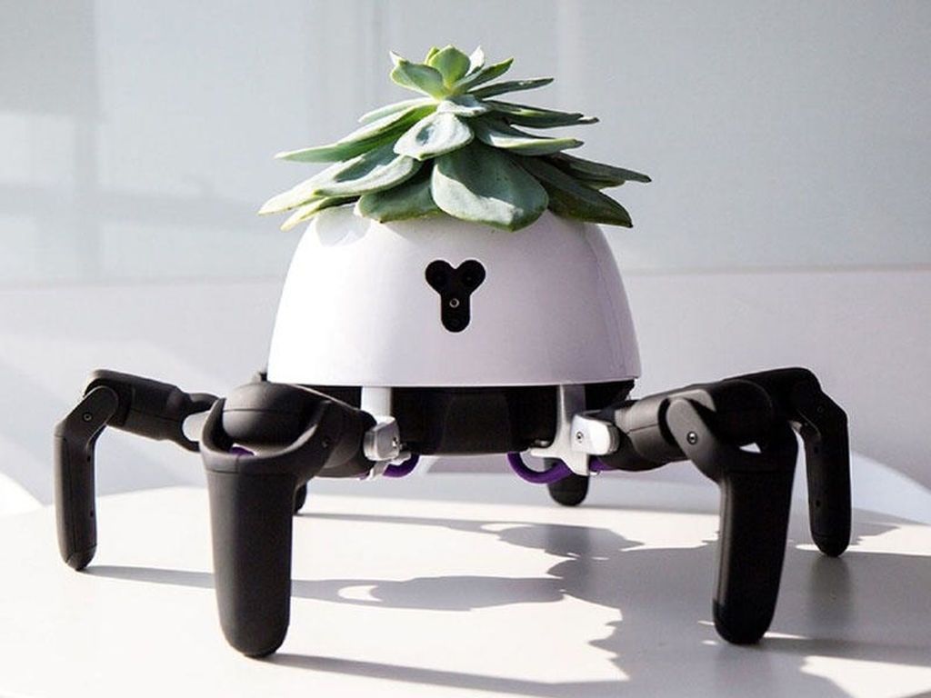 Robot bağban otaq bitkilərinə qulluq edəcək