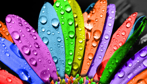 Rənglərin həyatımızdakı rolu