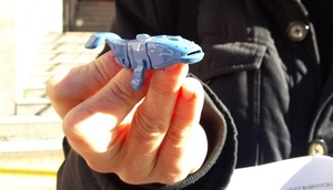 Satılan bir sürpriz yumurtanın içindən "Mavi Balina" oyuncağı çıxdı