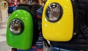 Günün ən çox paylaşılan şəkilləri