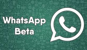 WhatsApp, barmaqlara 'oh' dedizdirən yeni funksiyasını açıqladı!