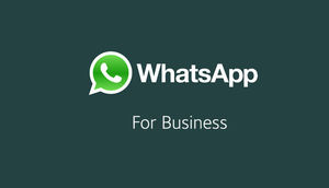 Windows 10 Telefonlara WhatsApp Business Gəlir!