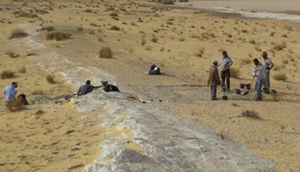 İnsanlıq tarixini yenidən yazacaq barmaq qalığı kəşf edildi 