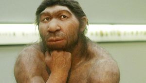 Neandertalların soyu niyə tükəndi?