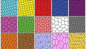 Cavabı ancaq kompüter köməyiylə tapılan dünyanın ən maraqlı riyaziyyat sualı.