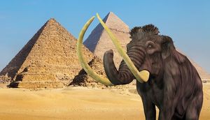 Məktəbdə öyrənməyəcəyimiz  12 qəribə məlumat  