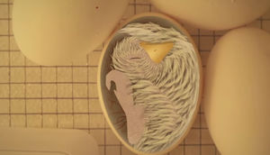 Yumurtanın içindəki cücələrin necə nəfəs aldığını bilirdiniz?