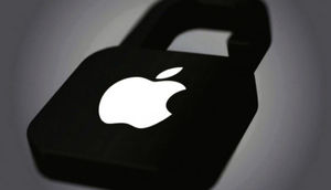 Apple, haqqınızda bildiyi hər şeyi yükləyə biləcəyiniz bir xidmət təqdim etdi!