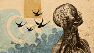 İlk öyrənildiyi zaman səhv kimi görünsə də həqiqətən doğru olan 10 maraqlı məlumat!