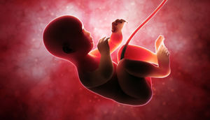 Ana bətnində olan körpə hansı səsləri xoşlayır?