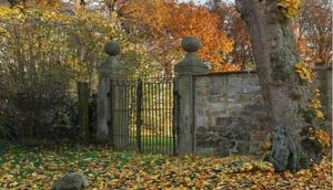 Heç kəs FOTODA gizlənmiş bu qadını tapa bilmir