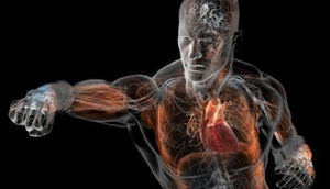 İnsan bədəni ilə bağlı 20 heyrətamiz fakt