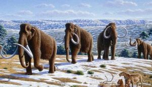 4 min əvvəl nəsli kəsilmiş heyvanlar - yenidən dünyaya gəlir