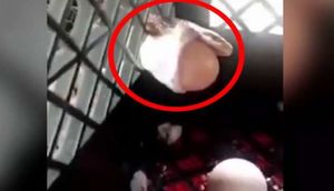 Toyuqların yumurtalarını yeyən ilanın başına görün nə gəldi - VİDEO