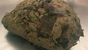 Torpaq sandılar, içindən çıxanlar görənləri təəccübləndirdi - FOTOLAR