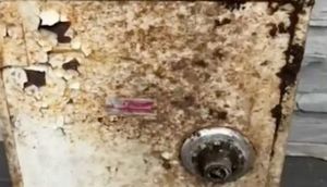 Ağac əkərkən tapdıqları sandıqla 7 illik cinayətin üstünü açdılar - FOTO