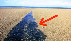 Dənizə gedənlər MÜTLƏQ OXUSUN! Əgər göy zolaq varsa... / VİDEO