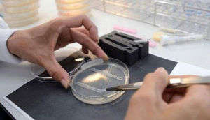 Dünyanın ən innovativ ölkəsi seçildi