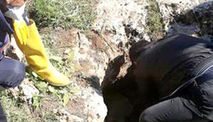 Quyudan pis qoxu gəldiyini duydular, içini açdıqda gördüklərindən dəhşətə gəldilər - VİDEO