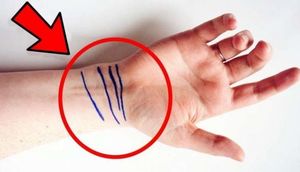 Biləkdəki xətlərin gizli mənaları - İNANMAYACAQSINIZ! - VİDEO