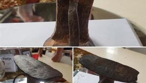 Fotodakı əşyanın nə olduğunu biləndə təəccüblənəcəksiniz