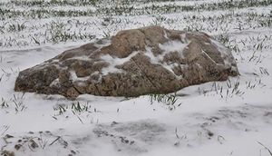 Bunun nə olduğunu biləndə çox təəccüblənəcəksiniz - FOTOLAR