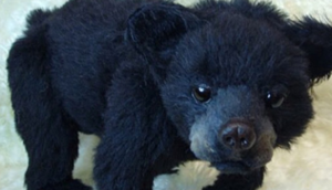 2 il boyunca it sanıb bəslədiyi heyvan görün nə çıxdı? - FOTO