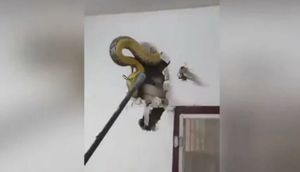 Divardan səs eşitdi, çəkiclə divarı dağıtdı və ardınca dəhşətli anlar yaşadı - Video