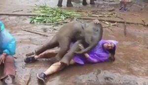 Dünya bu görüntülərdən danışır - VİDEO