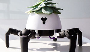 Robot bağban otaq bitkilərinə qulluq edəcək