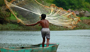 Qurulan tilova balıq əvəzi elə bir şey düşdü ki, gözləri bərələn balıqçı tilovu tullayıb qaçdı - Video