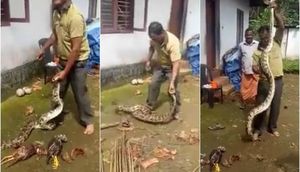 Görənlər gözlərinə inanmadı: Pitonun qarnından görün nə çıxdı - Dəhşətli FOTOLAR