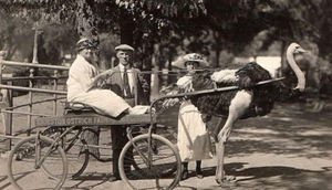 Həyat yoldaşı çimmədiyinə görə başına görün nə oyun açdı - FOTOLAR