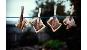 Dəm çayını zibil qabına atmayın - İNANILMAZ FAYDALARI