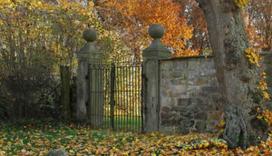 Əgər fotodakı qadını tapsanız, deməli beyniniz...BU DA FOTO