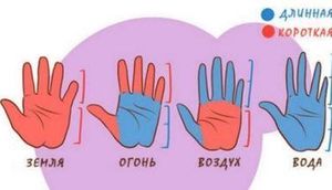 Əl formasına görə xasiyyətiniz - FOTO