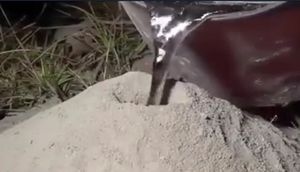 Qarışqa yuvasına əridilmiş alüminium tökdülər, görün nə oldu - VİDEO