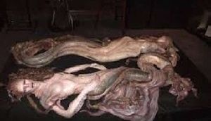 Su pərilərinin varlığını təsdiq edən 6 FAKT - VİDEO