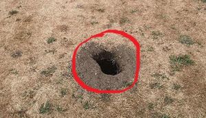 Bağında tapdığı dəliyi qazmağa başladı - Ortaya elə şey çıxdı ki... / FOTOLAR